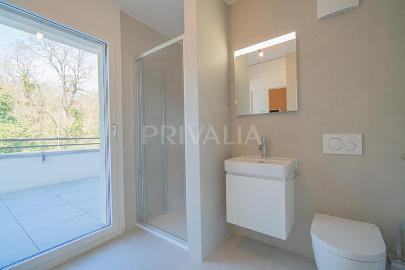Superb renovated duplex attic with terraces and unobstructed view (5)