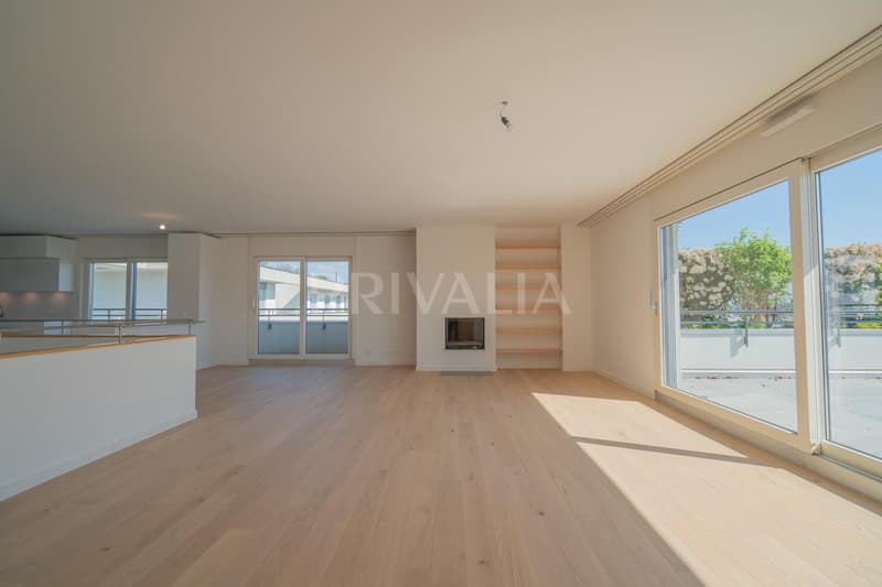 Superb renovated duplex attic with terraces and unobstructed view (3)
