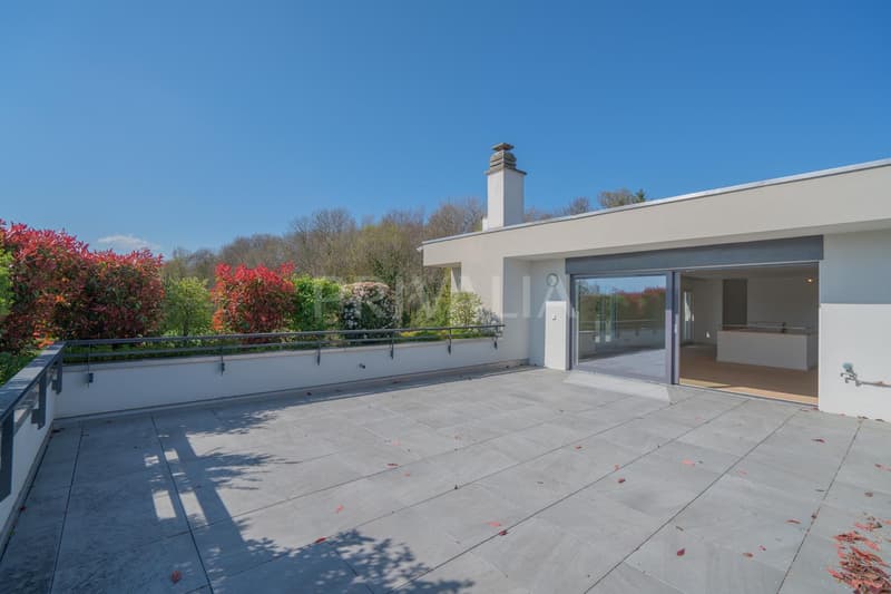 Superb renovated duplex attic with terraces and unobstructed view (12)