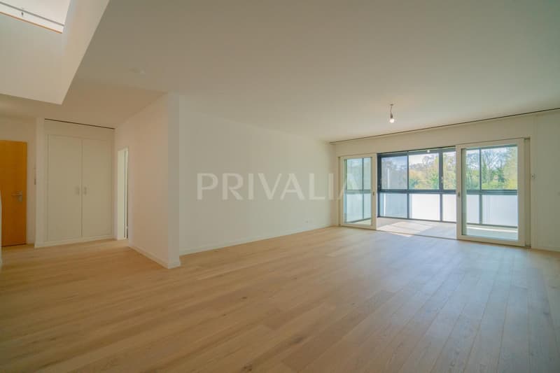 Superb renovated duplex attic with terraces and unobstructed view (6)