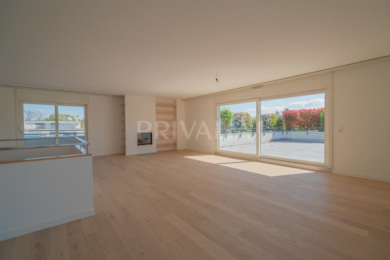 Superb renovated duplex attic with terraces and unobstructed view (2)