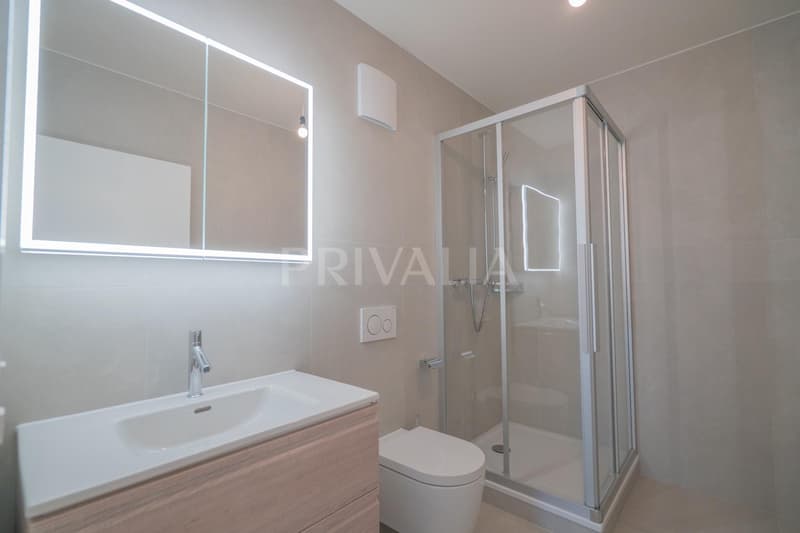 Superb renovated duplex attic with terraces and unobstructed view (10)