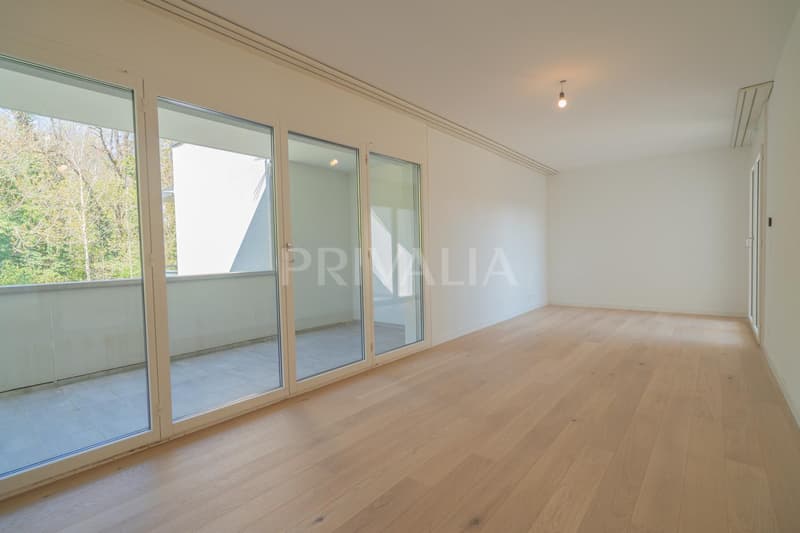 Superb renovated duplex attic with terraces and unobstructed view (8)