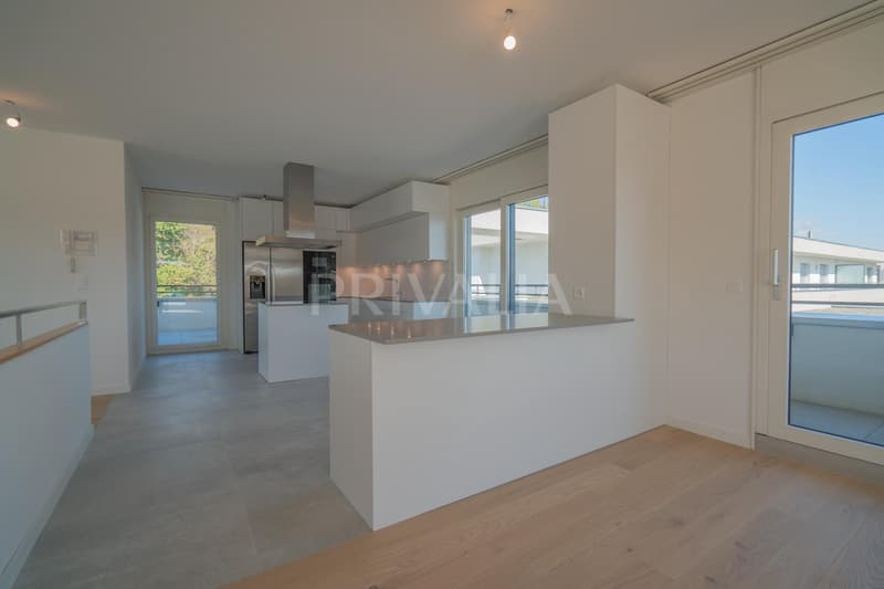 Superb renovated duplex attic with terraces and unobstructed view (4)