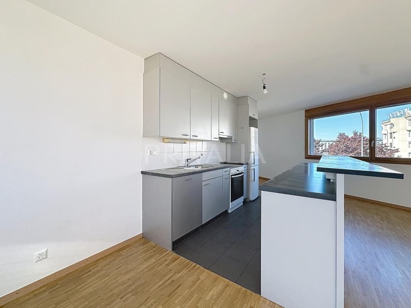 Geräumige Wohnung im Herzen eines modernen und sicheren Gebäudes mit Loggia, in der Nähe internationaler Organisationen (2)