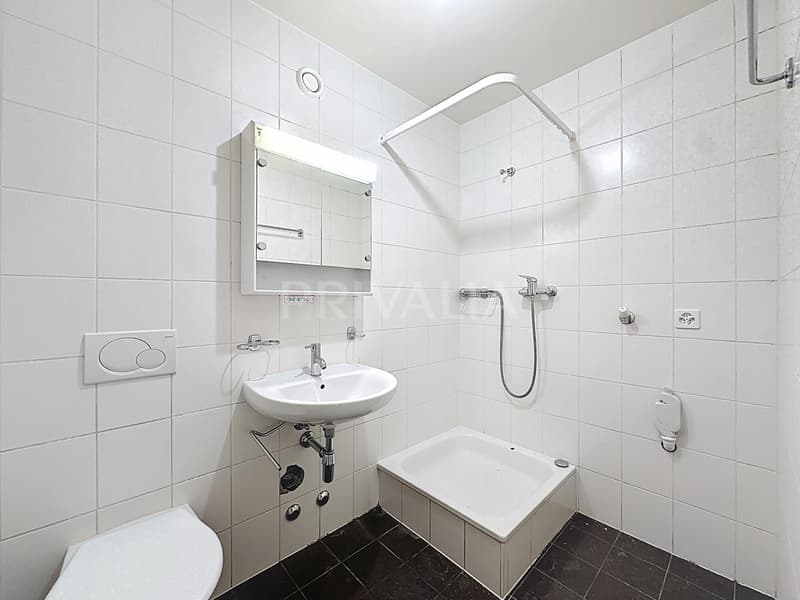 Beautiful crossing apartment close to international organizations (4)