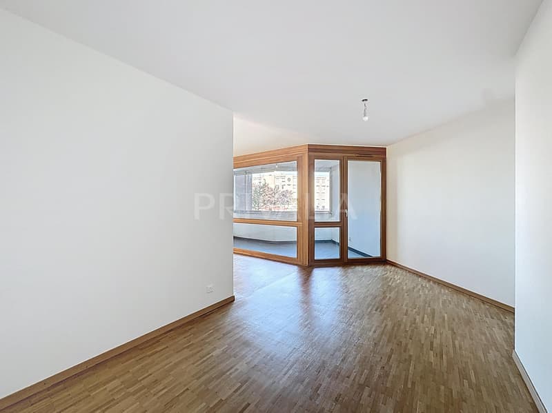 Beautiful crossing apartment close to international organizations (3)