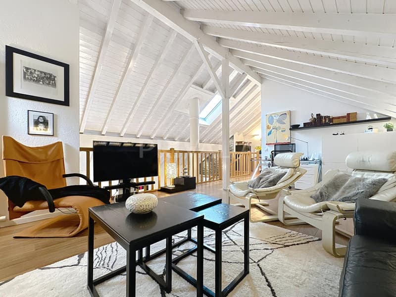 Large renovated duplex of 235 m2 - Bernex (8)
