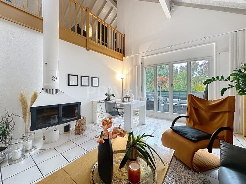 Large renovated duplex of 235 m2 - Bernex (2)