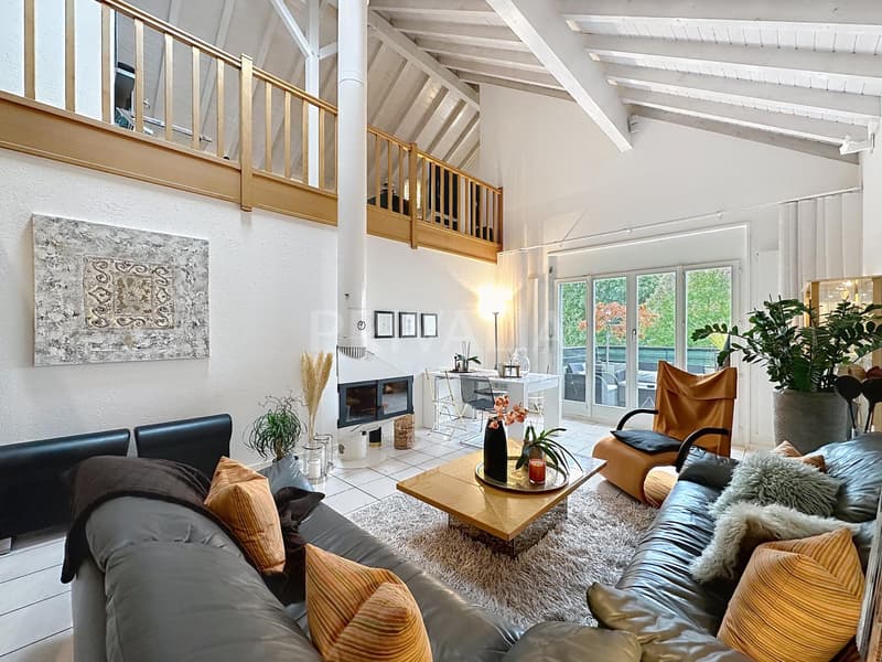 Large renovated duplex of 235 m2 - Bernex (1)