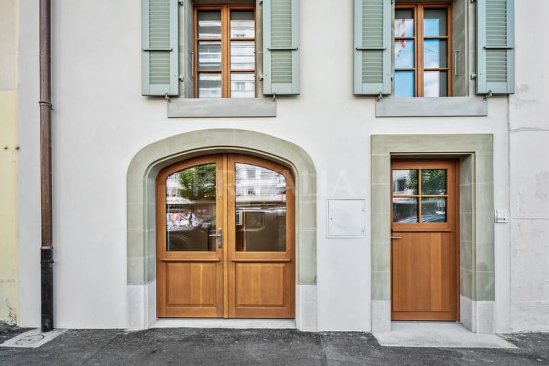 Exclusive - rental building in the heart of Chêne-Bourg (6)