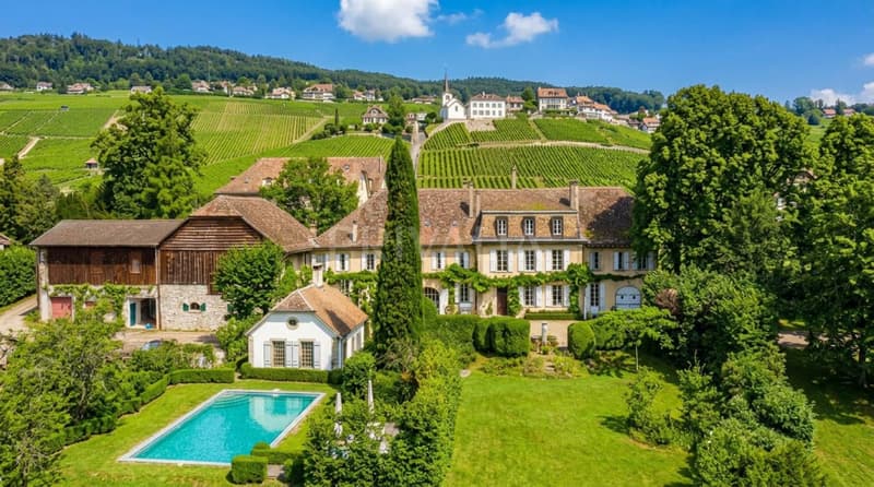Exceptional estate in the heart of the vineyards (2)