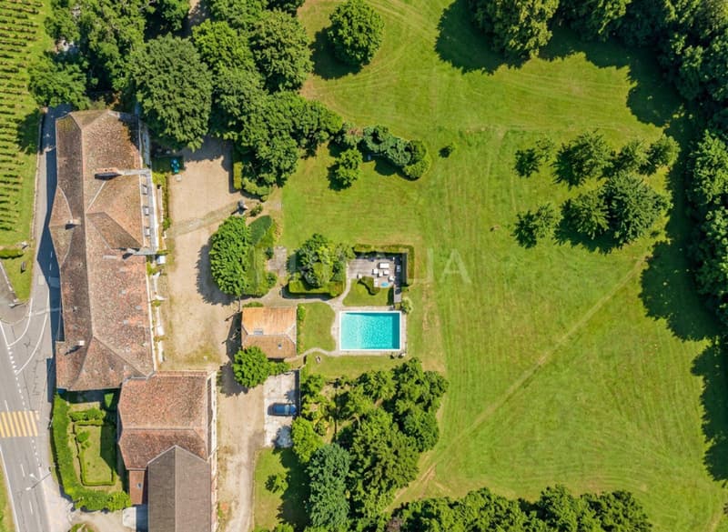 Exceptional estate in the heart of the vineyards (8)