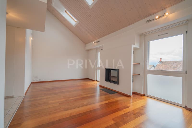 Superbe appartement lumineux au coeur de Bernex (4)