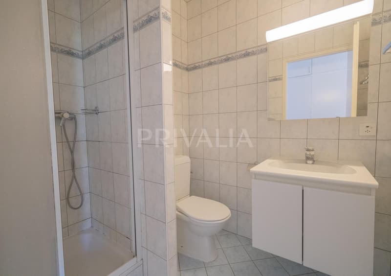 Villa individuale spaziosa con baie vetrate, situata in un ambiente calmo e verde nella Champagne Ginevra (8)