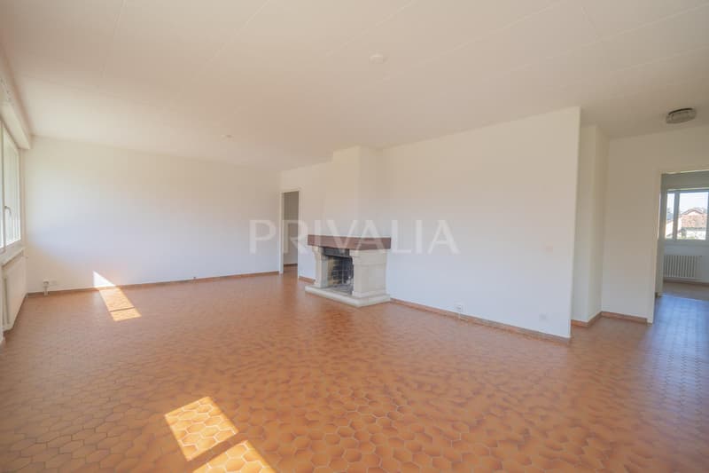 Villa individuale spaziosa con baie vetrate, situata in un ambiente calmo e verde nella Champagne Ginevra (3)