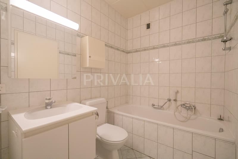 Villa individuale spaziosa con baie vetrate, situata in un ambiente calmo e verde nella Champagne Ginevra (6)