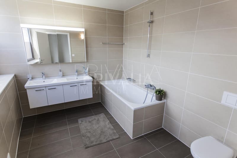 Prachtvolle Wohnung mit Seeblick (3)
