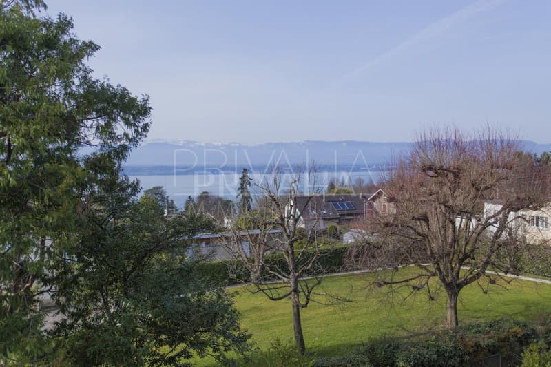 Prachtvolle Wohnung mit Seeblick (4)