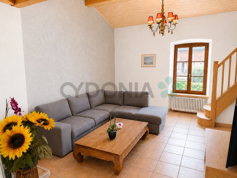 Bardonnex ? Duplex 5 Zimmer mit Galerie von 193 m² (3)