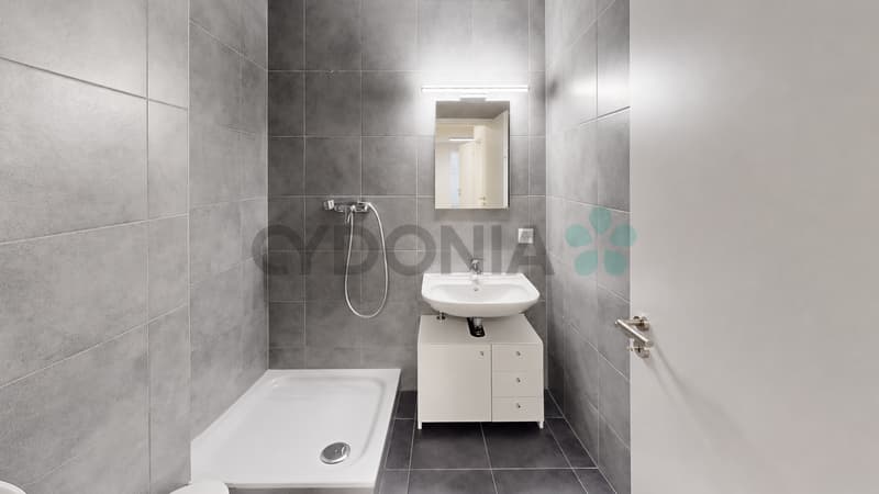 Beautiful semi-detached house with a surface area of 135 m², spread over three floors, in a residential area of Aire. (11)