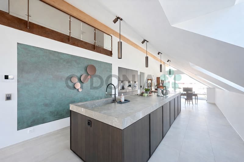 ESCLUSIVITÀ Attico d'eccezione di oltre 275m² in duplex, a 15 minuti da Nyon (3)
