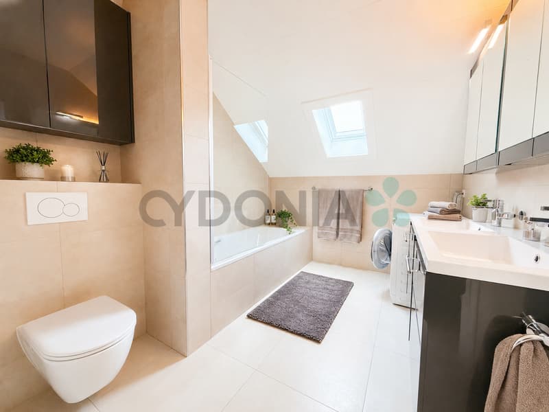 Duplex attic 3.5 rooms with terrace and balcony in Perly (6)