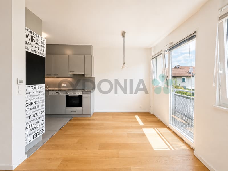 Beautiful through apartment with 5 rooms in the heart of Meyrin Village (4)