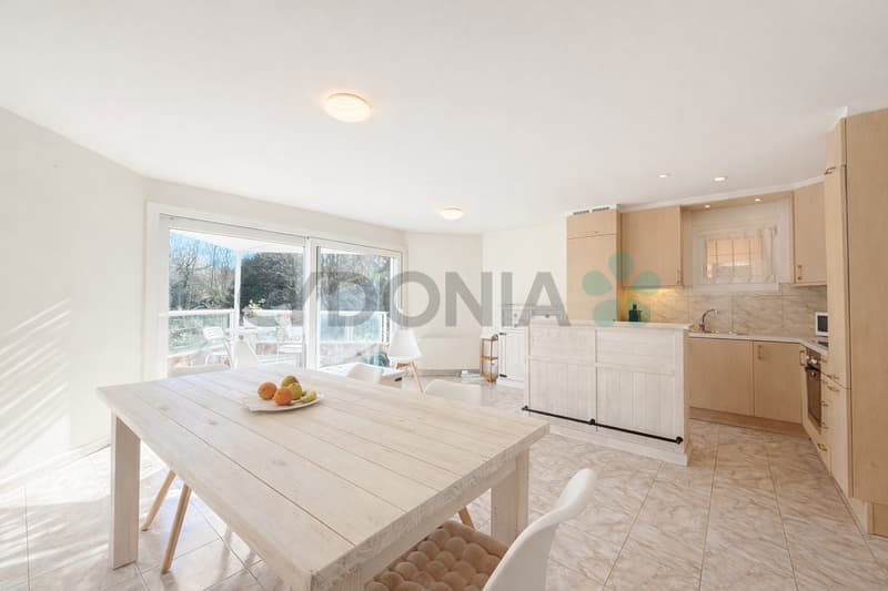 En exclusivité ! Duplex en Attique à deux pas du lac (4)