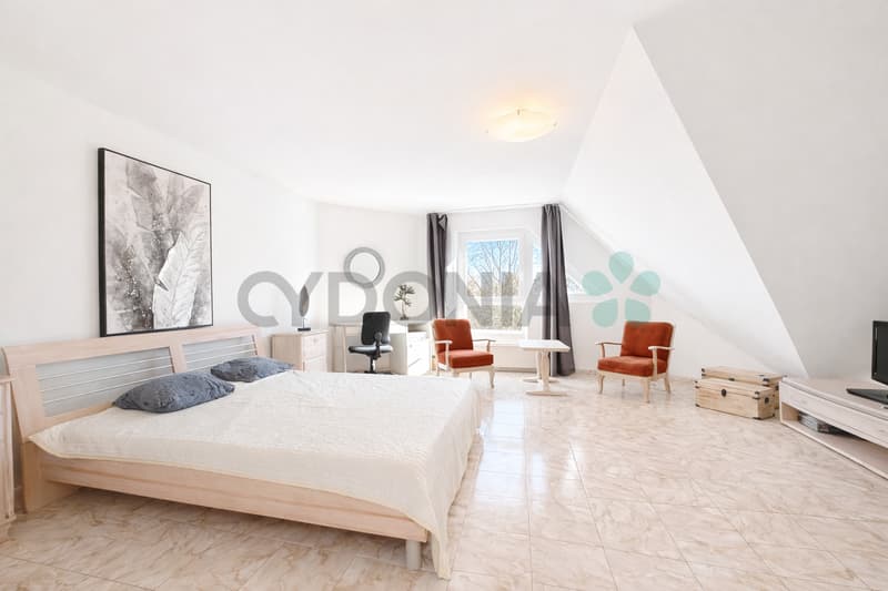 En exclusivité ! Duplex en Attique à deux pas du lac (6)