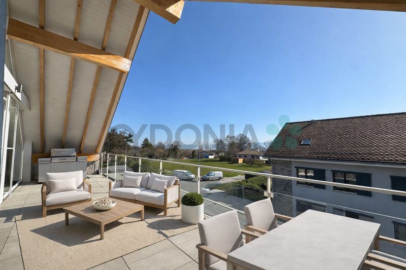 EN EXCLUSIVITÉ Attique d'exception en duplex de plus de 275m² A 15 minutes de Nyon (11)