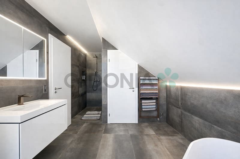EN EXCLUSIVITÉ Attique d'exception en duplex de plus de 275m² A 15 minutes de Nyon (6)