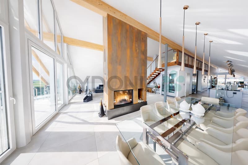EN EXCLUSIVITÉ Attique d'exception en duplex de plus de 275m² A 15 minutes de Nyon (13)