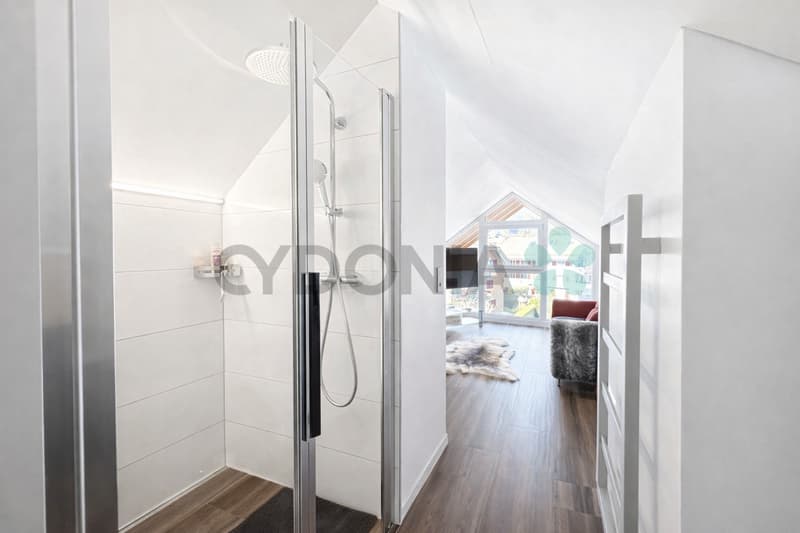 EN EXCLUSIVITÉ Attique d'exception en duplex de plus de 275m² A 15 minutes de Nyon (10)