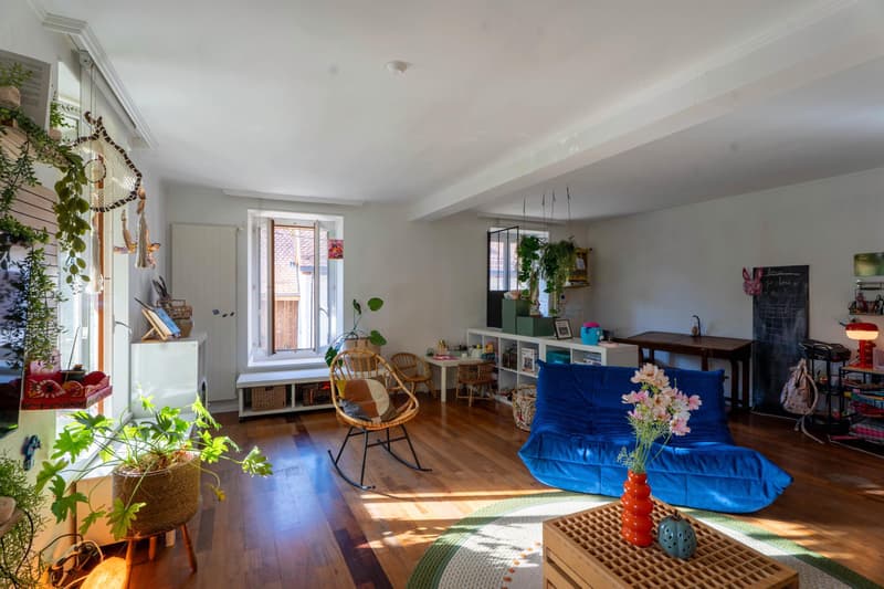 Maison villageoise de caractère avec 3 logements, jardin et terrasse (8)
