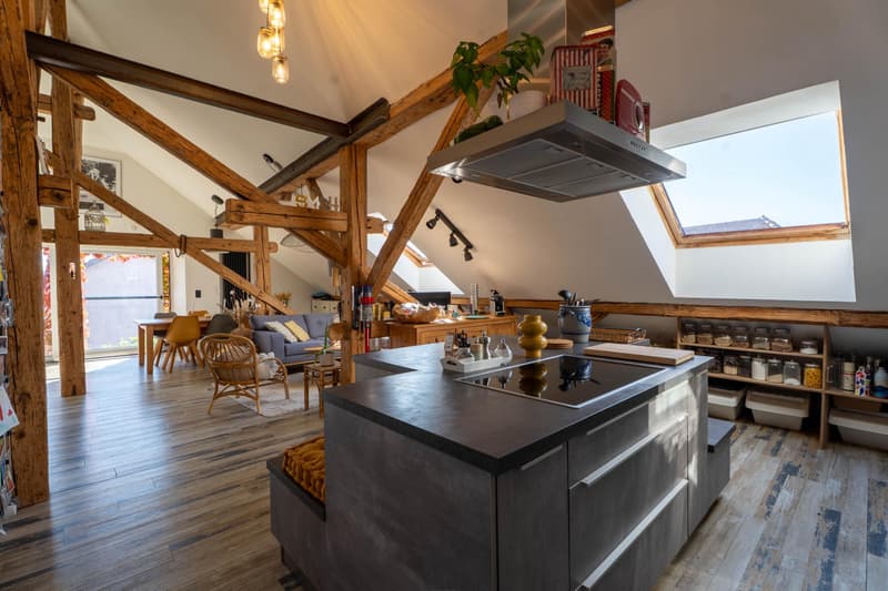 Maison villageoise de caractère avec 3 logements, jardin et terrasse (1)