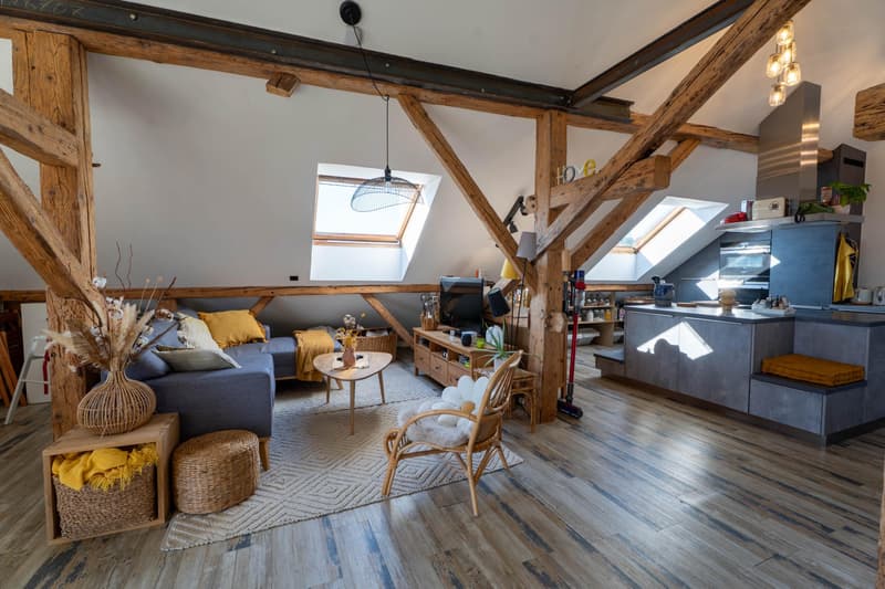 Maison villageoise de caractère avec 3 logements, jardin et terrasse (3)
