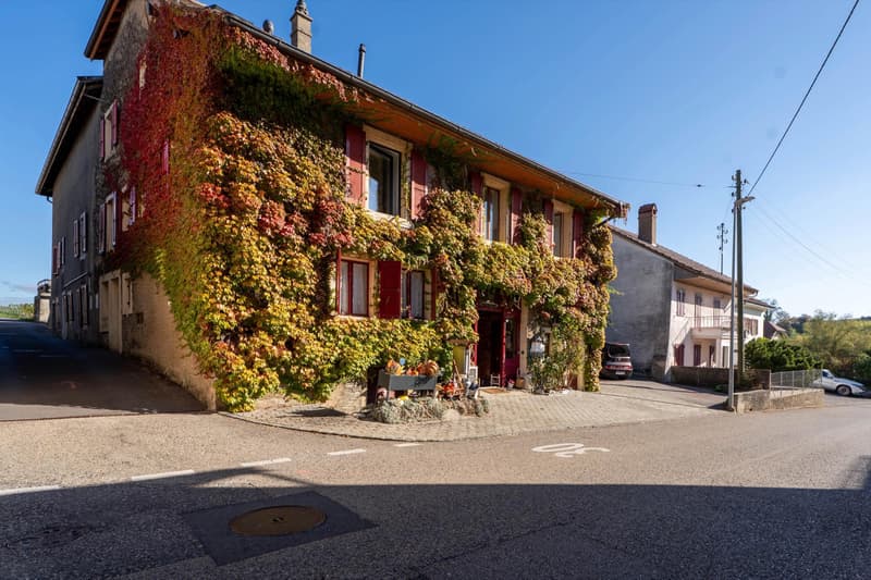 Maison villageoise de caractère avec 3 logements, jardin et terrasse (9)