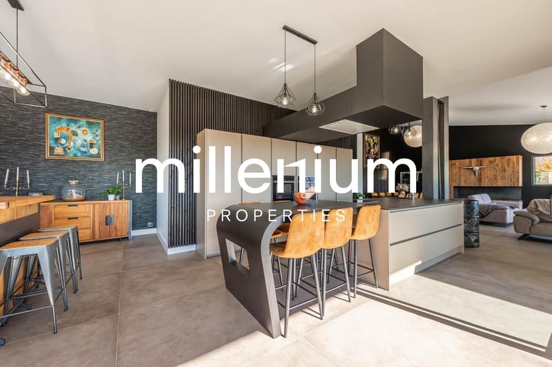 Bellissima villa contemporanea ad Annecy (5)