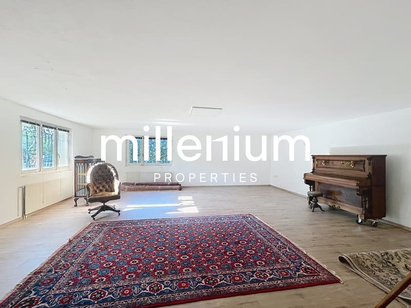 Individual villa with 7 rooms - Close to International Organizations (10)