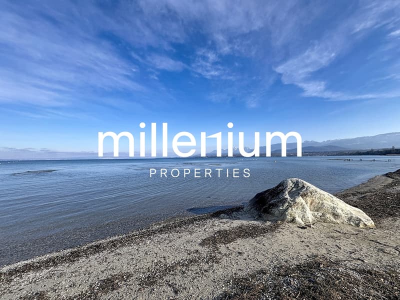 Ensemble immobilier à fort potentiel - Restaurant à Excenevex (6)