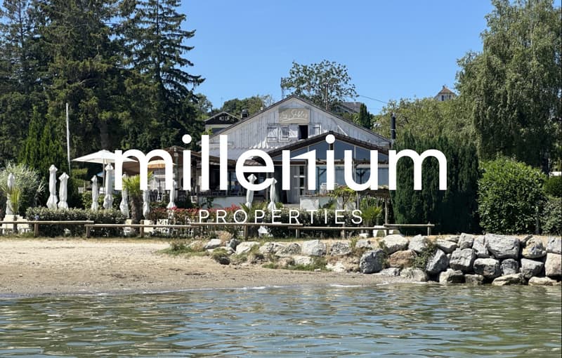 Ensemble immobilier à fort potentiel - Restaurant à Excenevex (8)