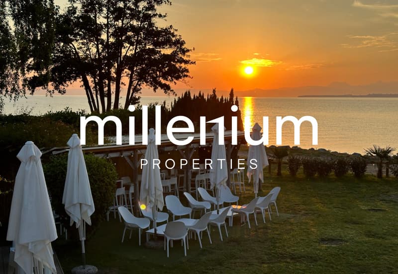 Ensemble immobilier à fort potentiel - Restaurant à Excenevex (12)