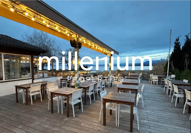 Ensemble immobilier à fort potentiel - Restaurant à Excenevex (10)