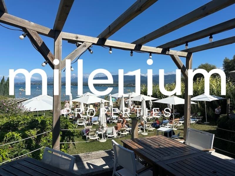 Ensemble immobilier à fort potentiel - Restaurant à Excenevex (4)