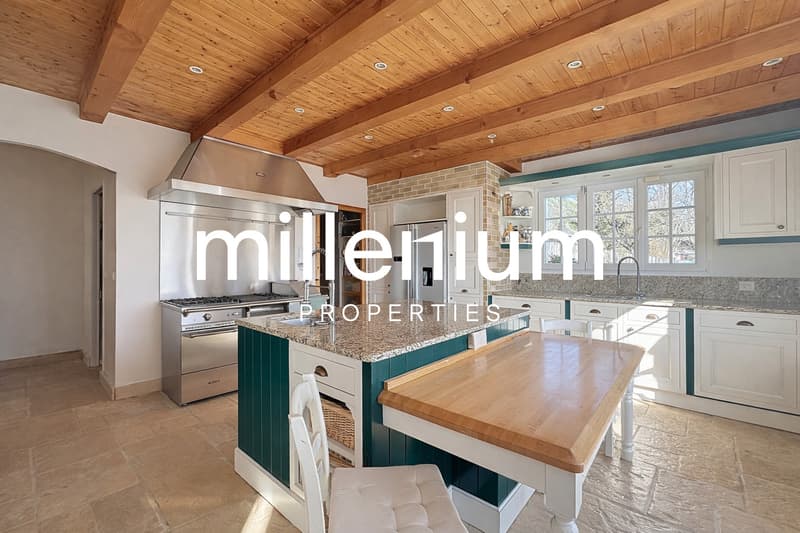 Superbe Villa au calme à proximité immédiate de Genève (9)