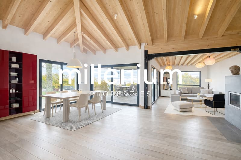 Villa contemporaine avec toit-terrasse et vue dégagée - Proche Genève (4)