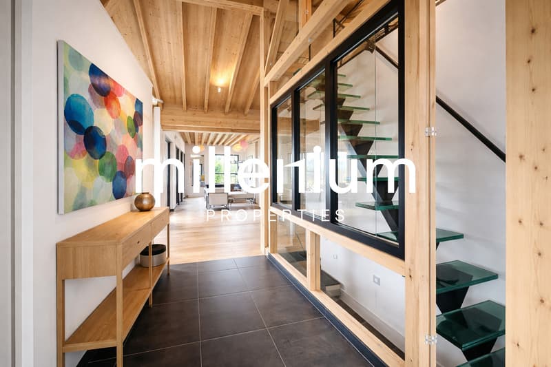 Villa contemporaine avec toit-terrasse et vue dégagée - Proche Genève (7)