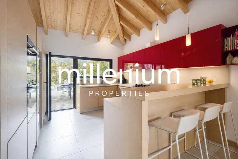 Villa contemporaine avec toit-terrasse et vue dégagée - Proche Genève (6)