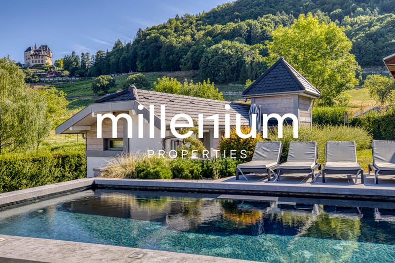 Magnifique Villa à Menthon Saint Bernard, proximité immédiate d'Annecy (2)